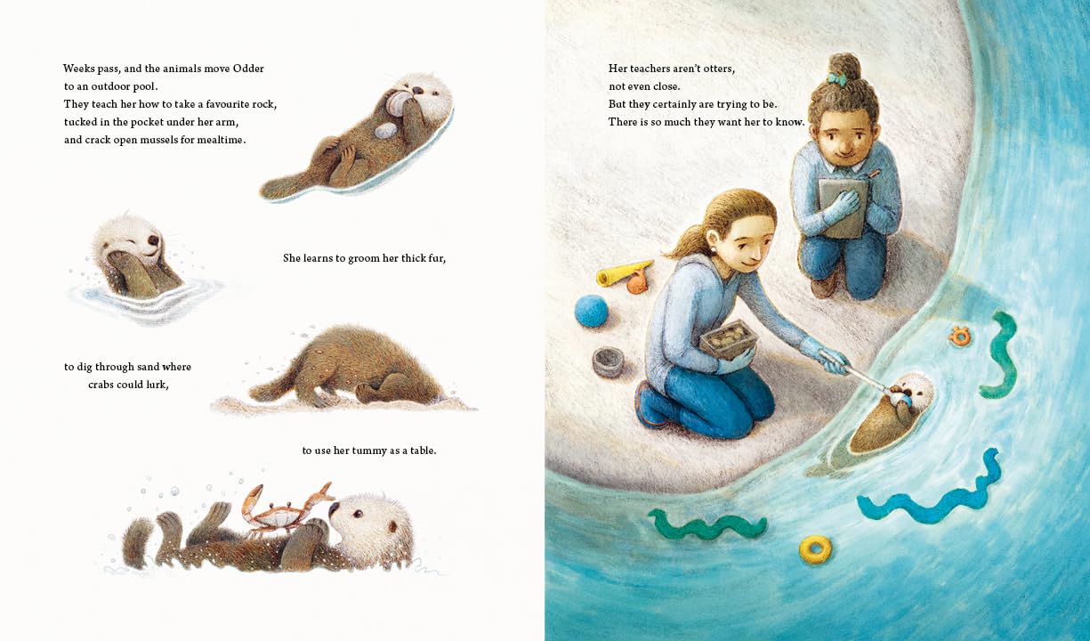 Odder: An Otter's Story