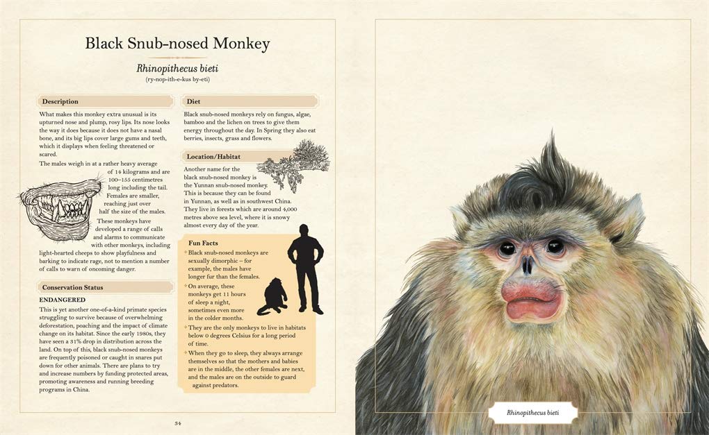 The Illustrated Encyclopaedia of Ugly Animals