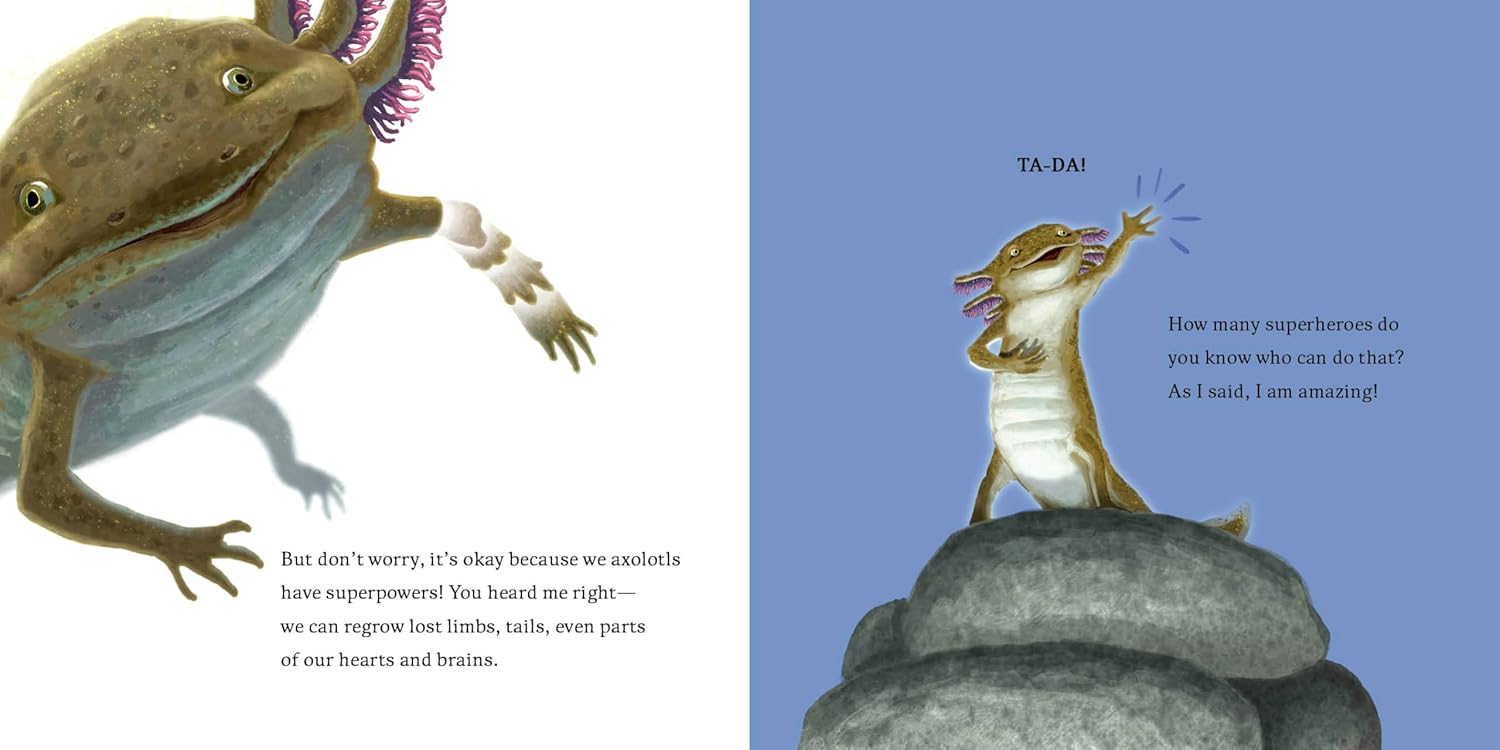Meet the Wild Things BK 4: Hello, I'm an Axolotl