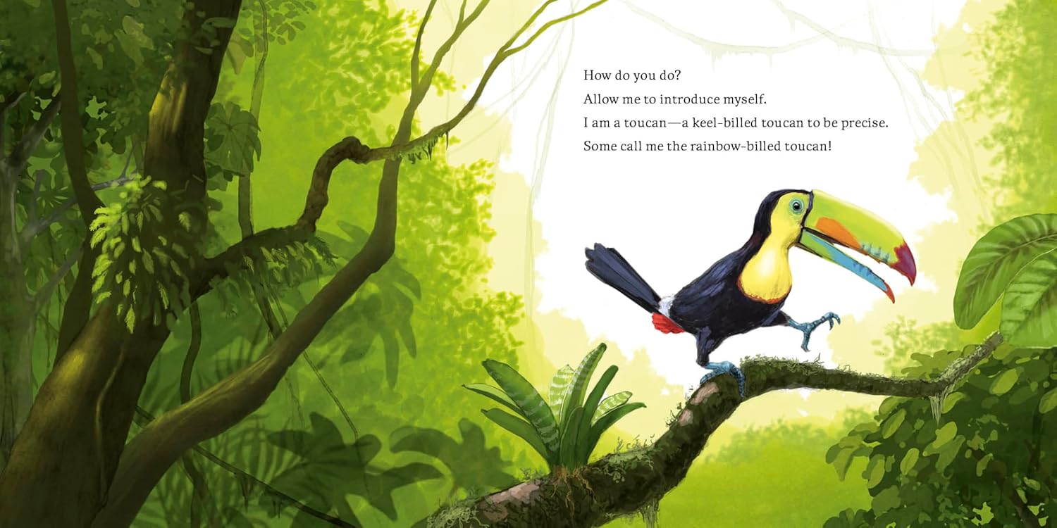 Meet the Wild Things Bk 5: Hello, I'm a Toucan