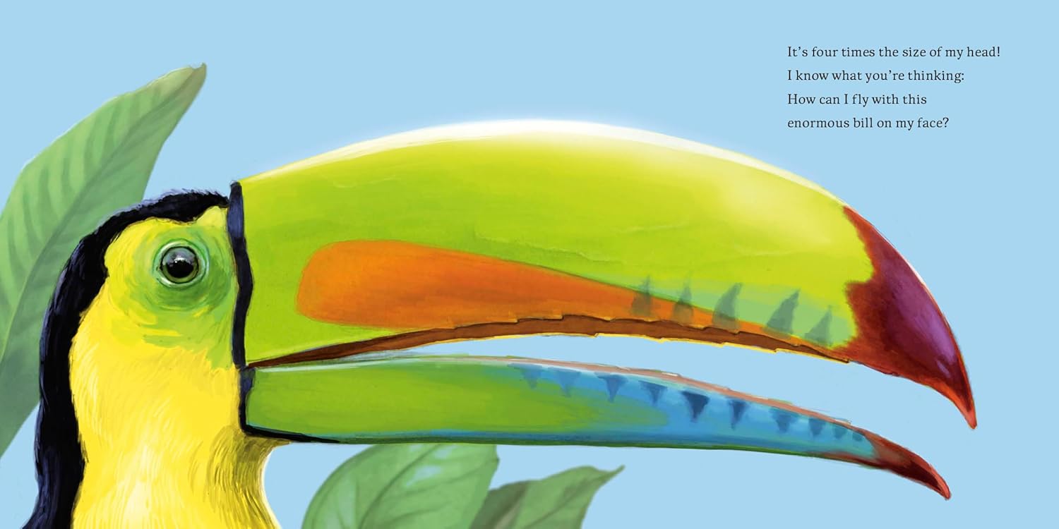 Meet the Wild Things Bk 5: Hello, I'm a Toucan