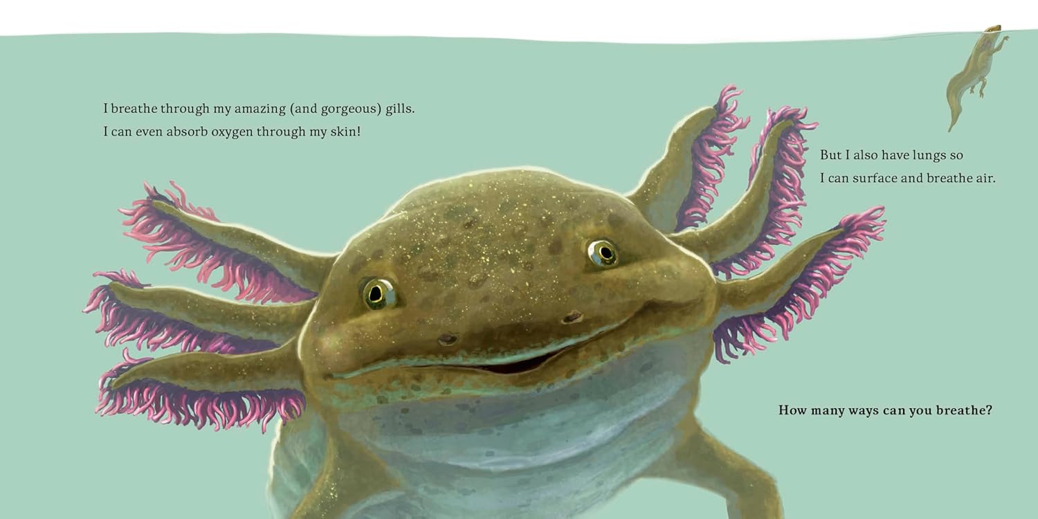 Meet the Wild Things BK 4: Hello, I'm an Axolotl