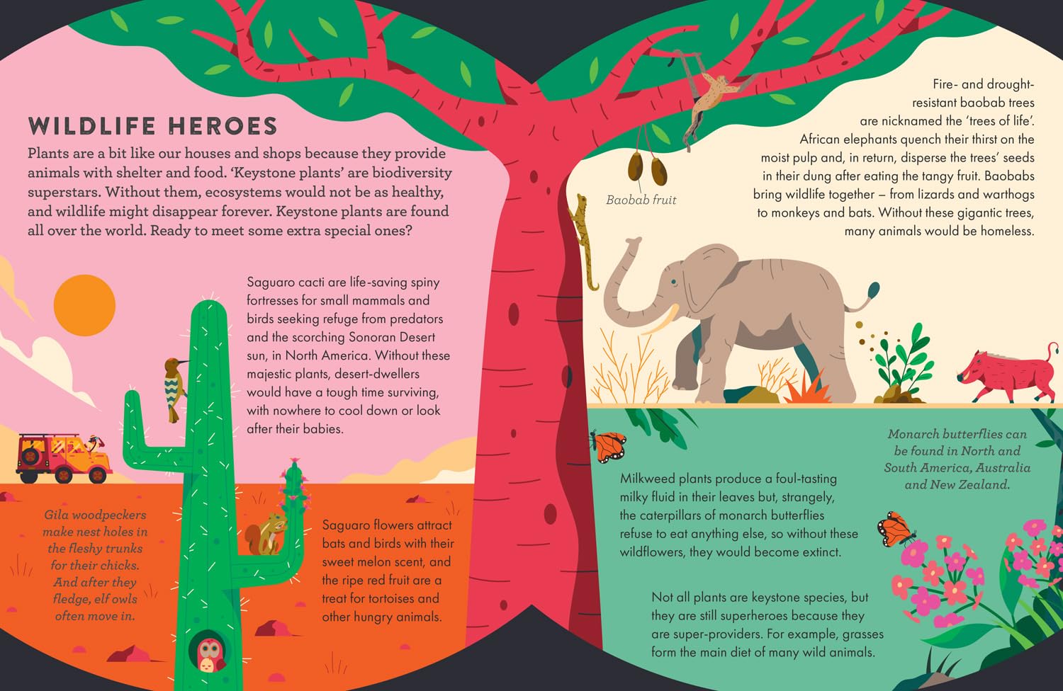Little Experts - Superhero Plants