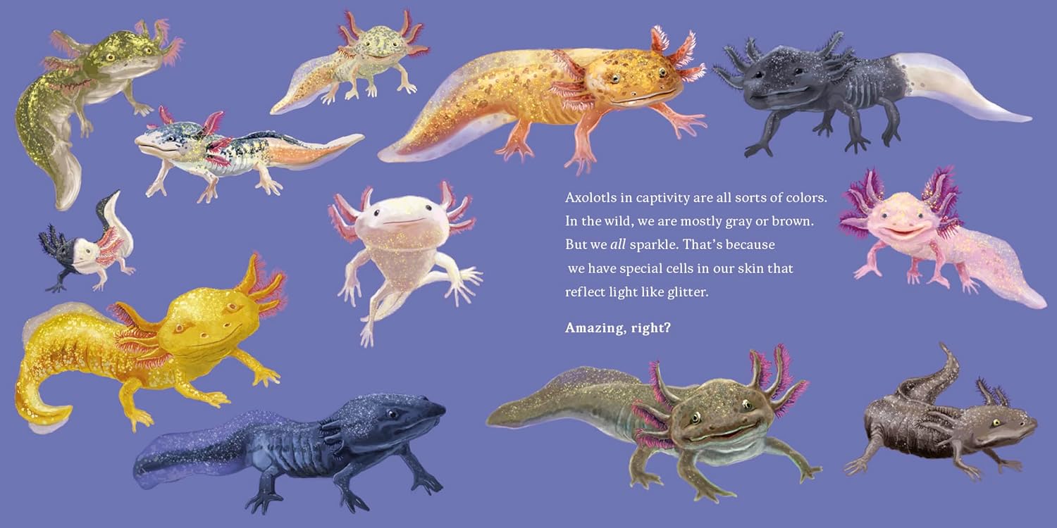 Meet the Wild Things BK 4: Hello, I'm an Axolotl