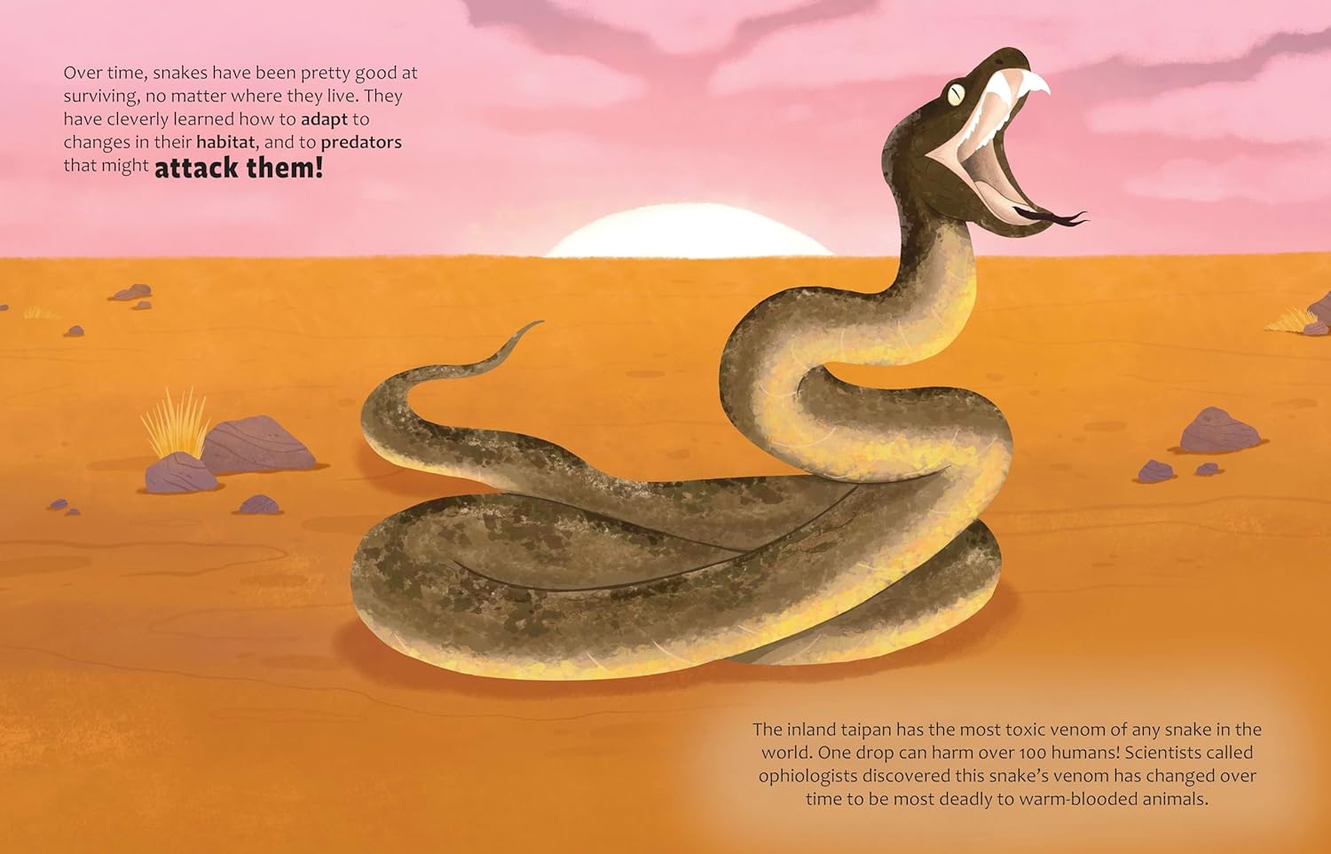 Big Questions Answered: Can Snakes Predict Earthquakes? Ophiology