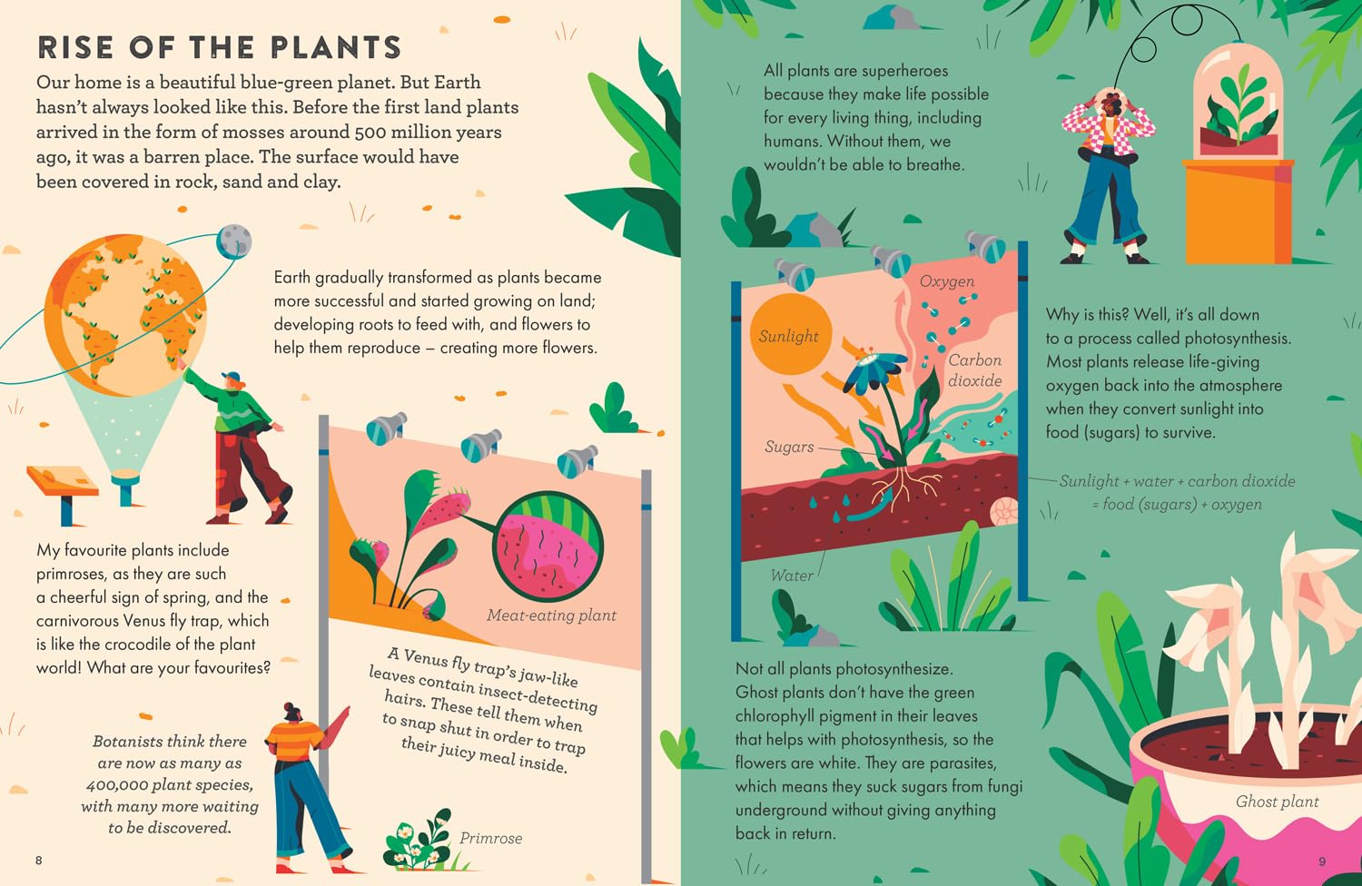 Little Experts - Superhero Plants