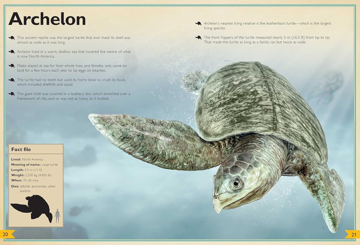The Magnificent Book of Prehistoric Beasts