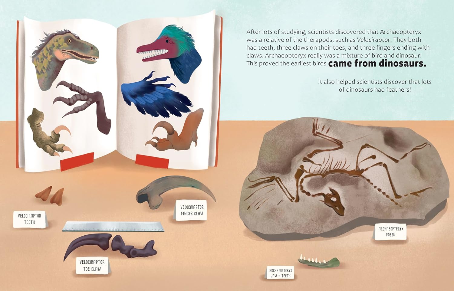 Big Questions Answered: Are Birds Modern-Day Dinosaurs?: Discover the Science behind Ornithography