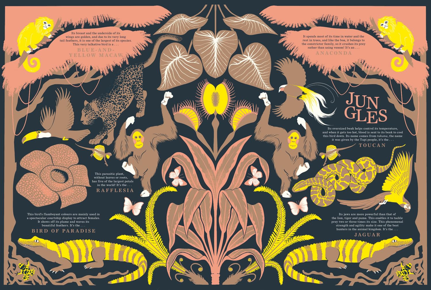 Nature: Discover the World's Wonderful Habitats