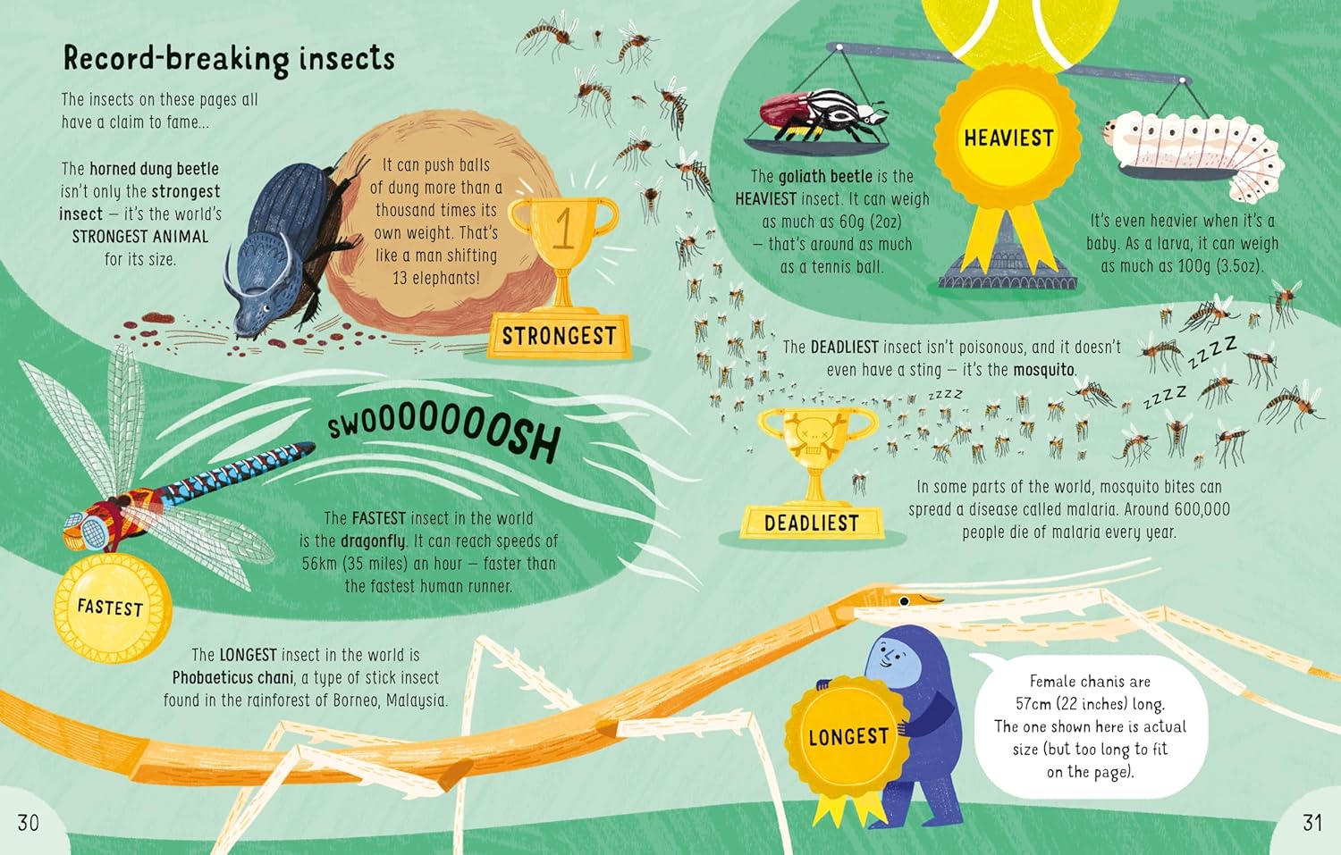 Lots of Things to Know About Bugs