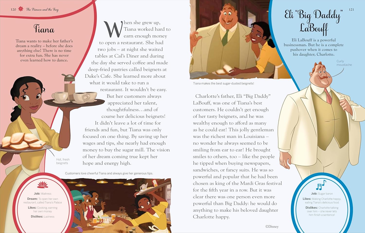 Disney Princess Enchanted Character Guide: Relive the Spellbinding Stories of the Disney Princesses in This Magical Guide