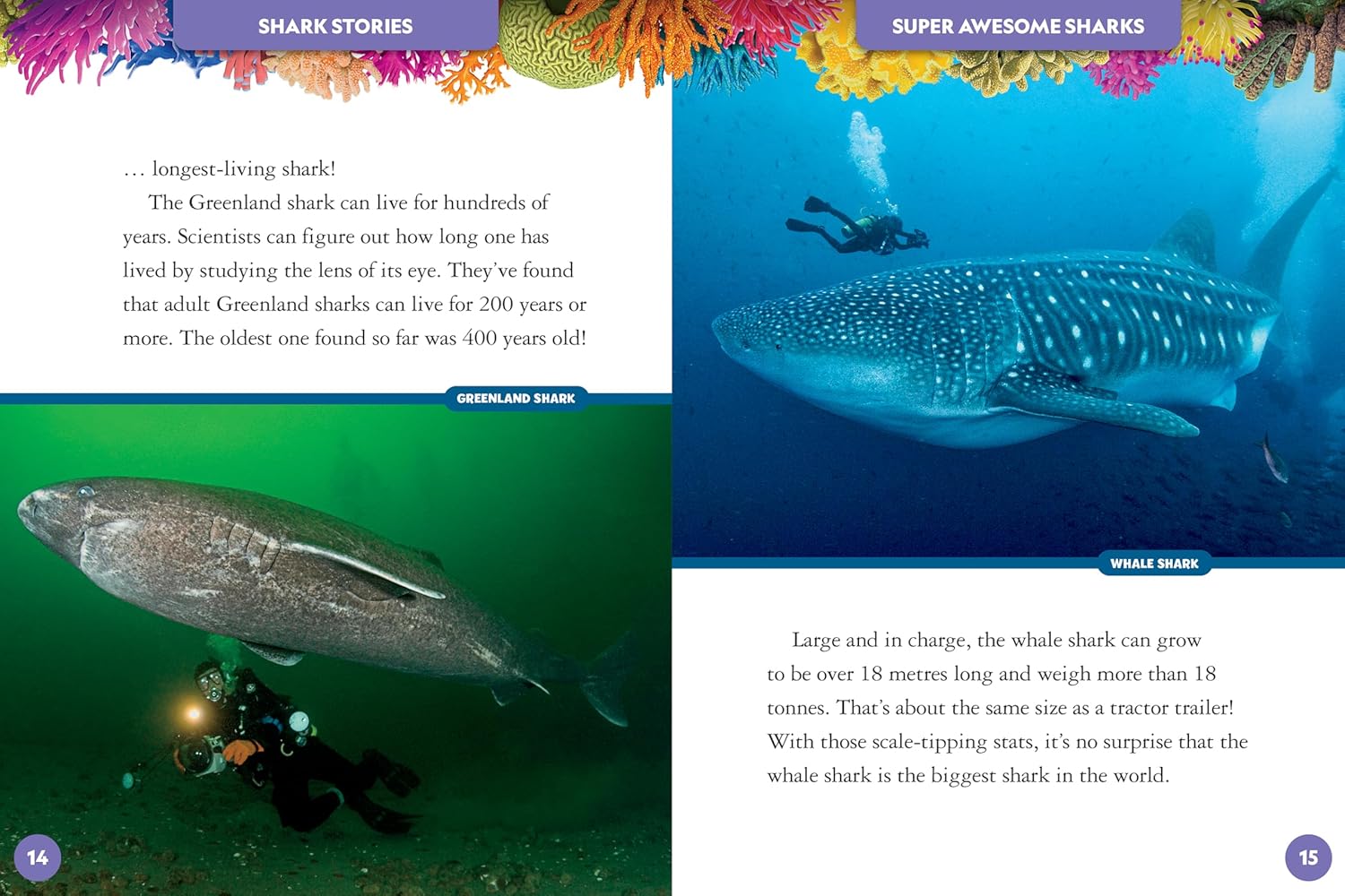 National Geographic Kids - My Deluxe Treasury of Shark Stories