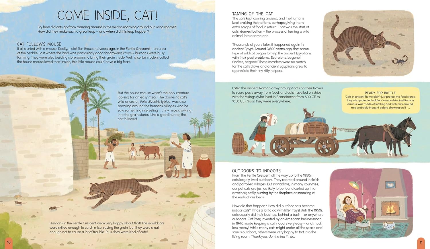 A World of Cats