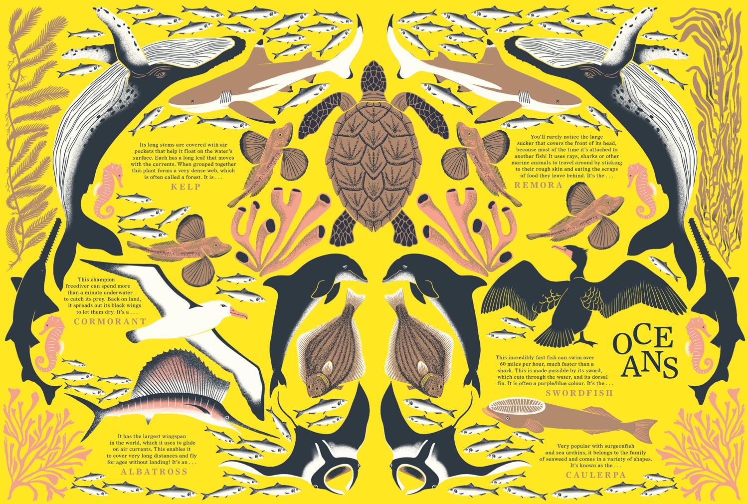 Nature: Discover the World's Wonderful Habitats