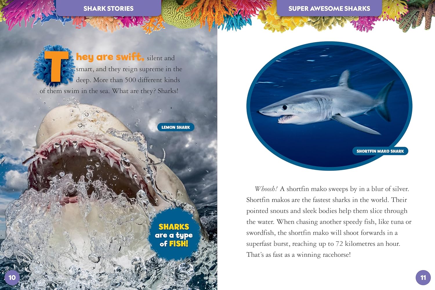 National Geographic Kids - My Deluxe Treasury of Shark Stories
