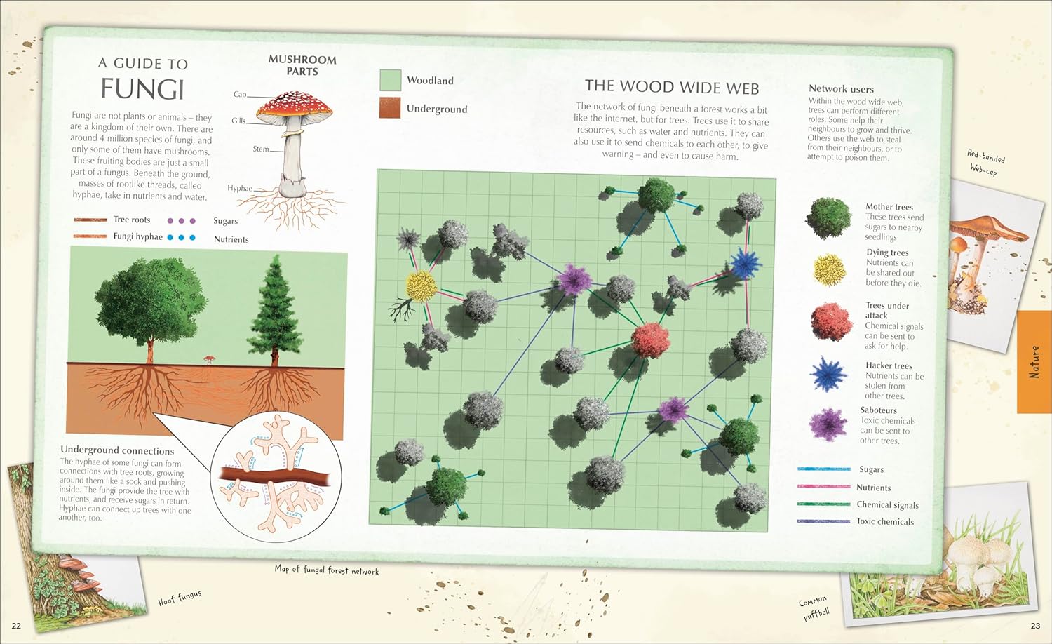 Explore: A Collection of Maps and Diagrams That Explain the World