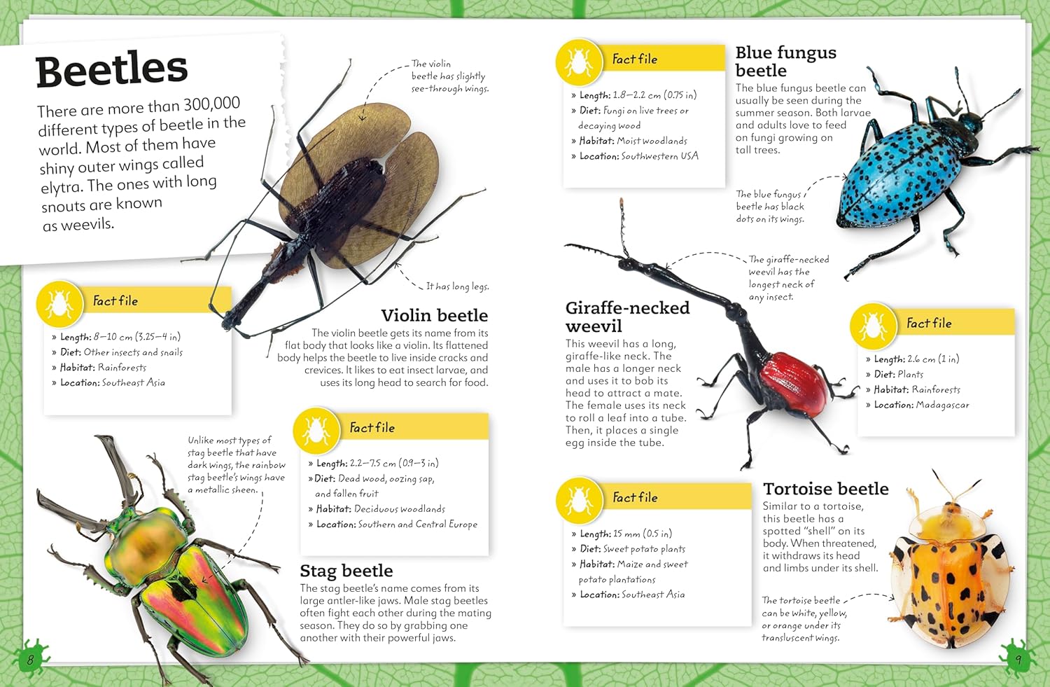 My Book of Bugs: A Fact-Filled Guide to the Insect World