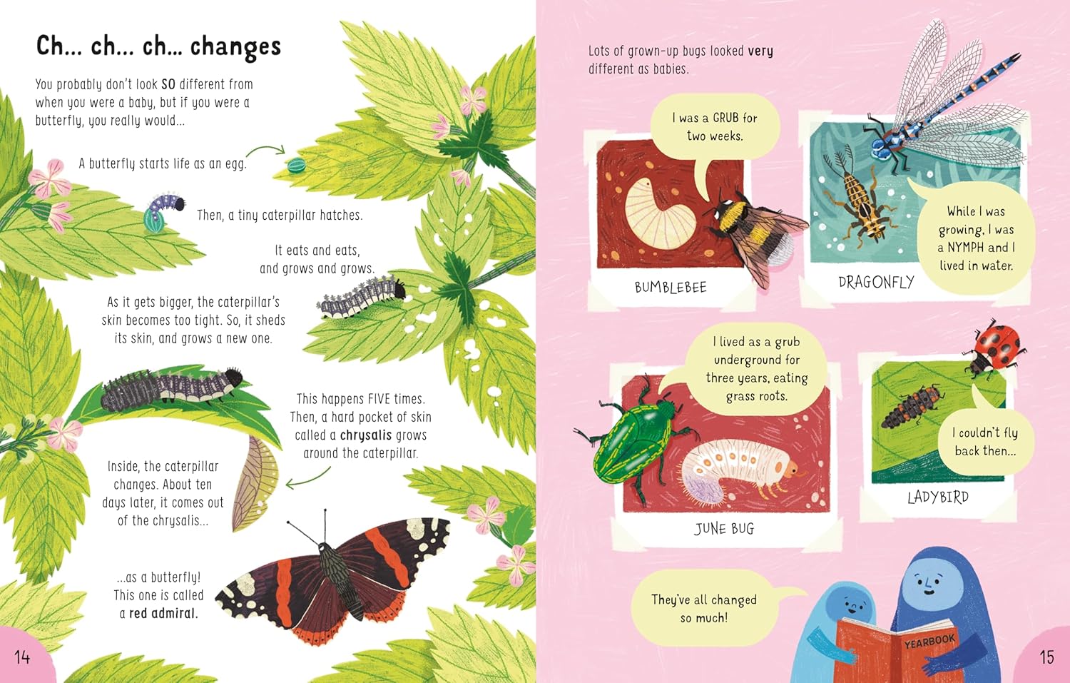 Lots of Things to Know About Bugs