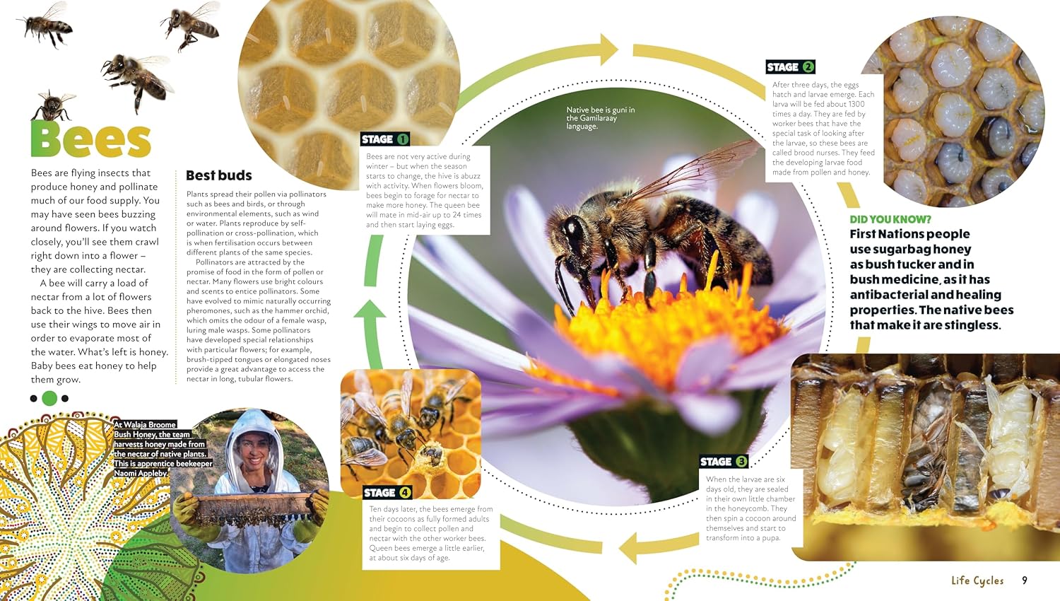 Deadly Science: Life Cycles