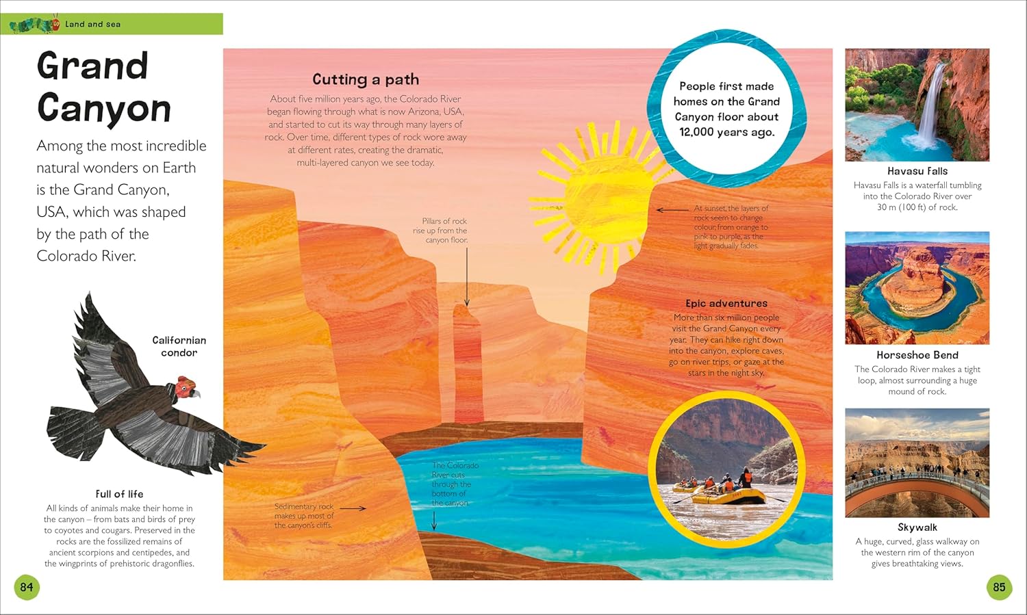 The Very Hungry Caterpillar's Very First Earth Encyclopedia