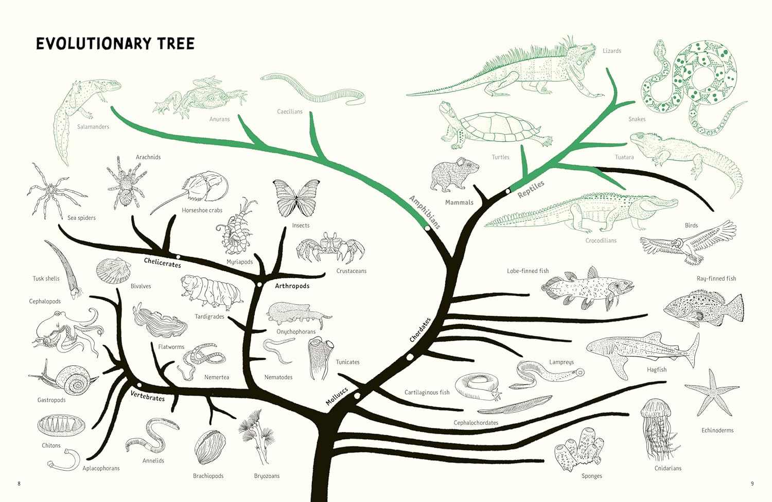 Reptiles & Amphibians