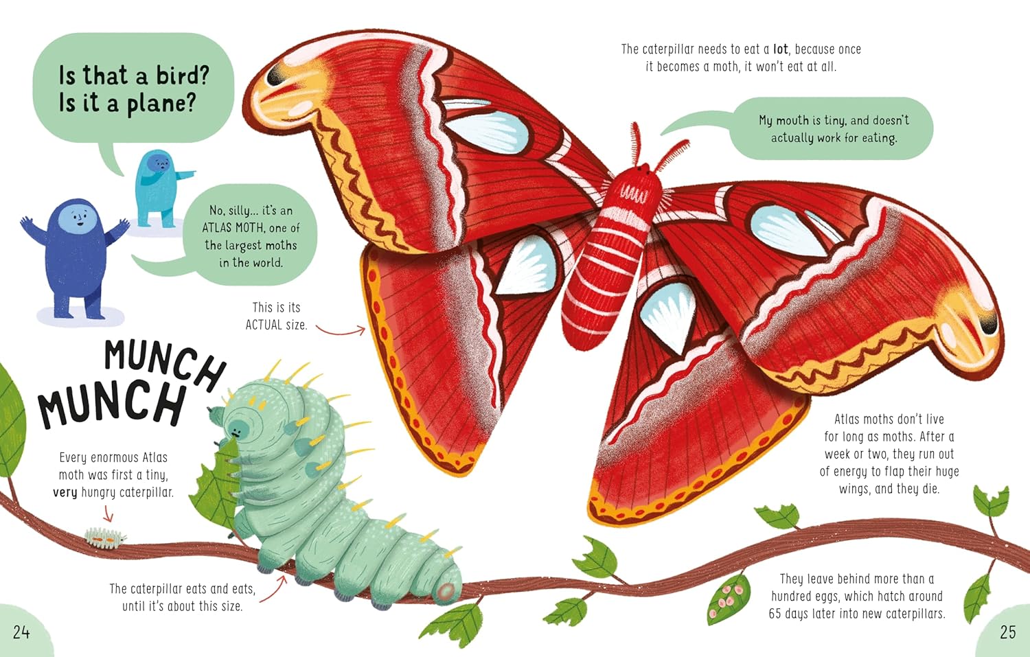 Lots of Things to Know About Bugs