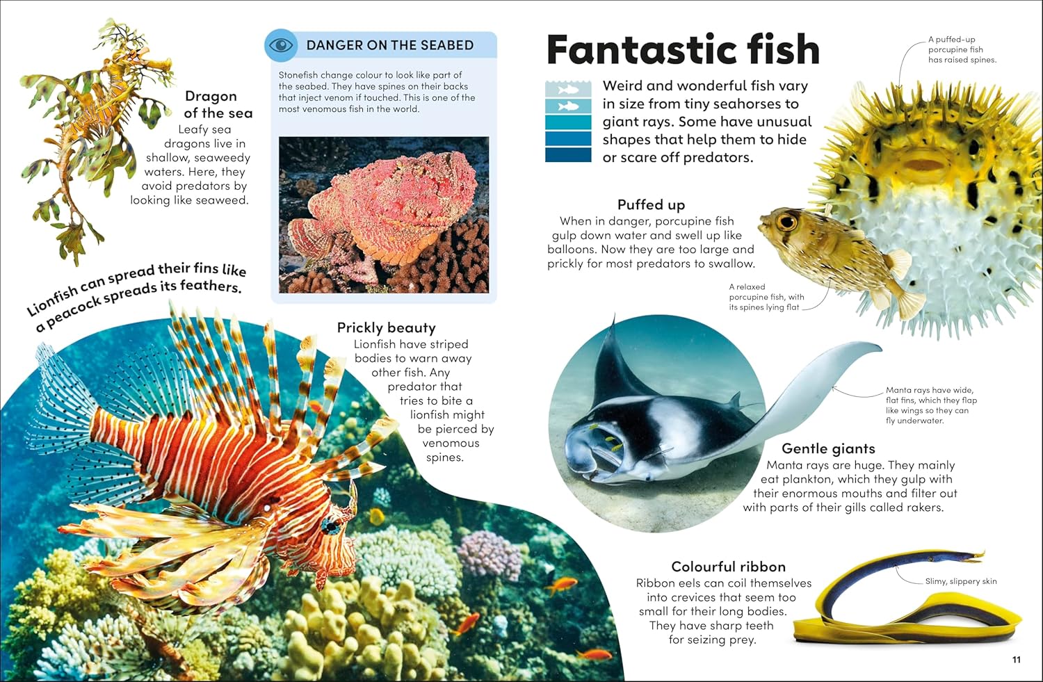 Eyewonder Oceans: Open Your Eyes to a World of Discovery