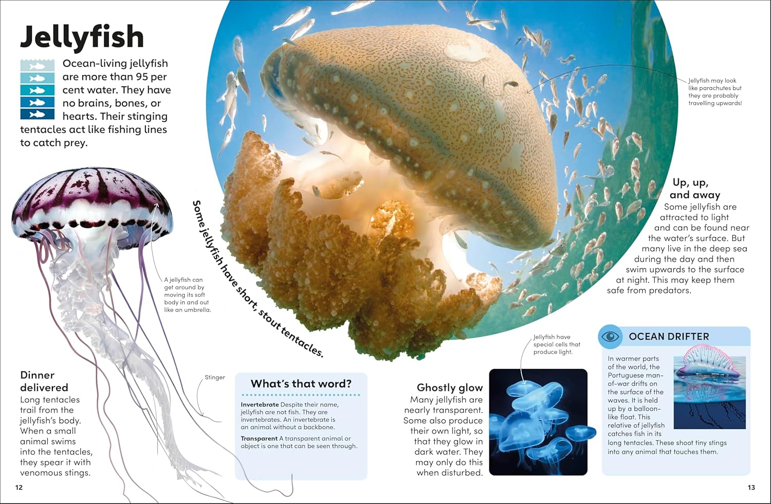 Eyewonder Oceans: Open Your Eyes to a World of Discovery