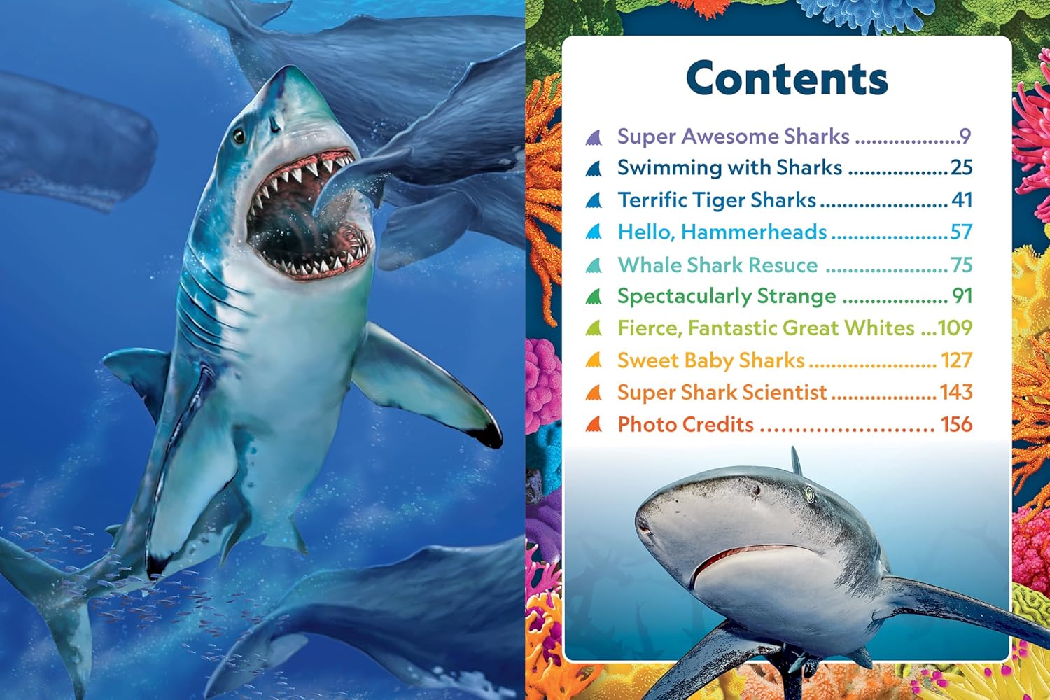 National Geographic Kids - My Deluxe Treasury of Shark Stories