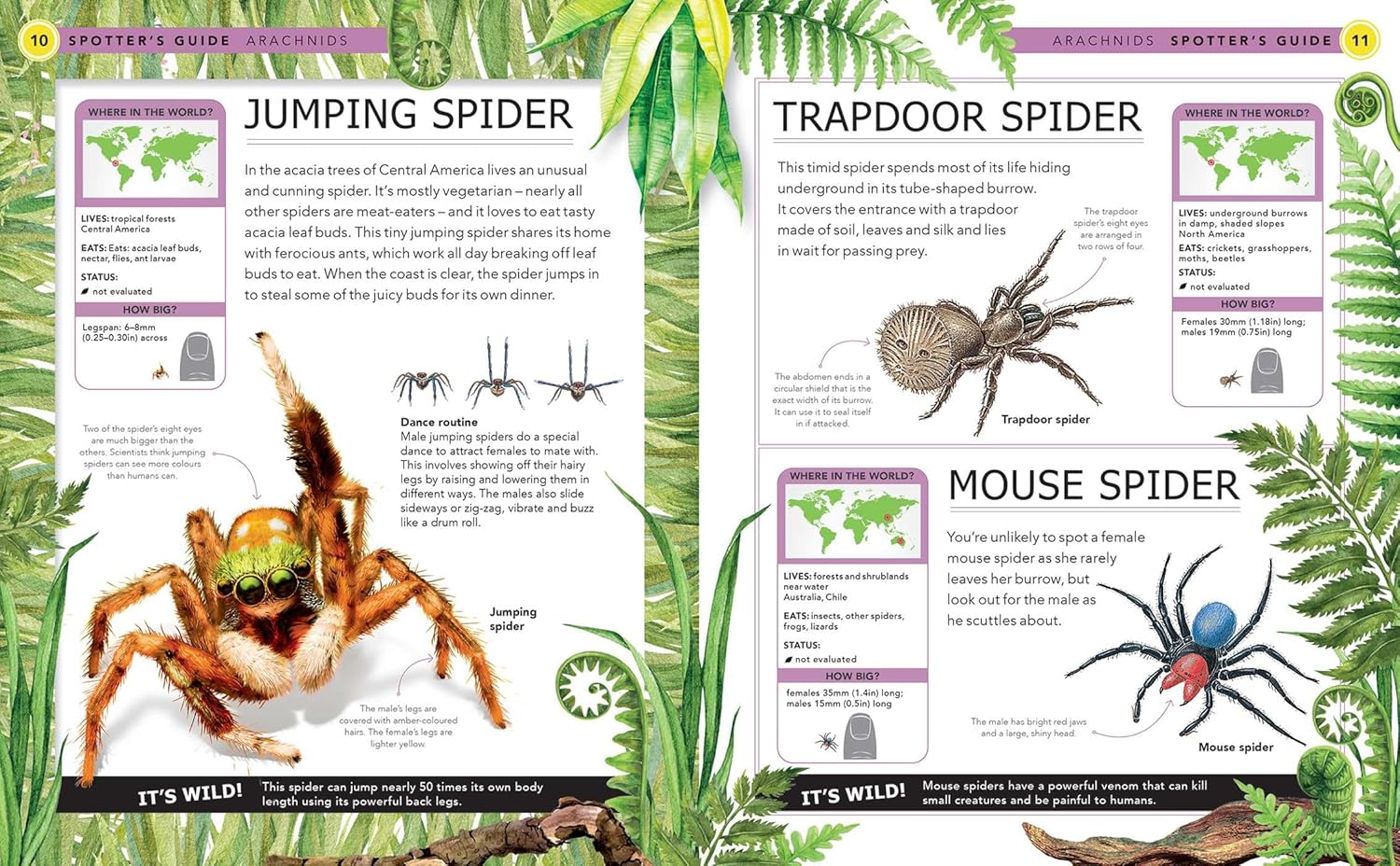 Bugs: A Spotter's Guide