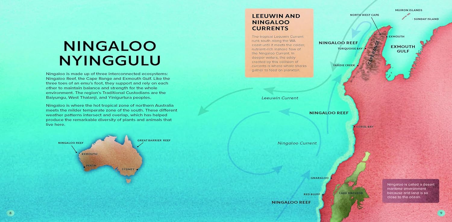 Ningaloo