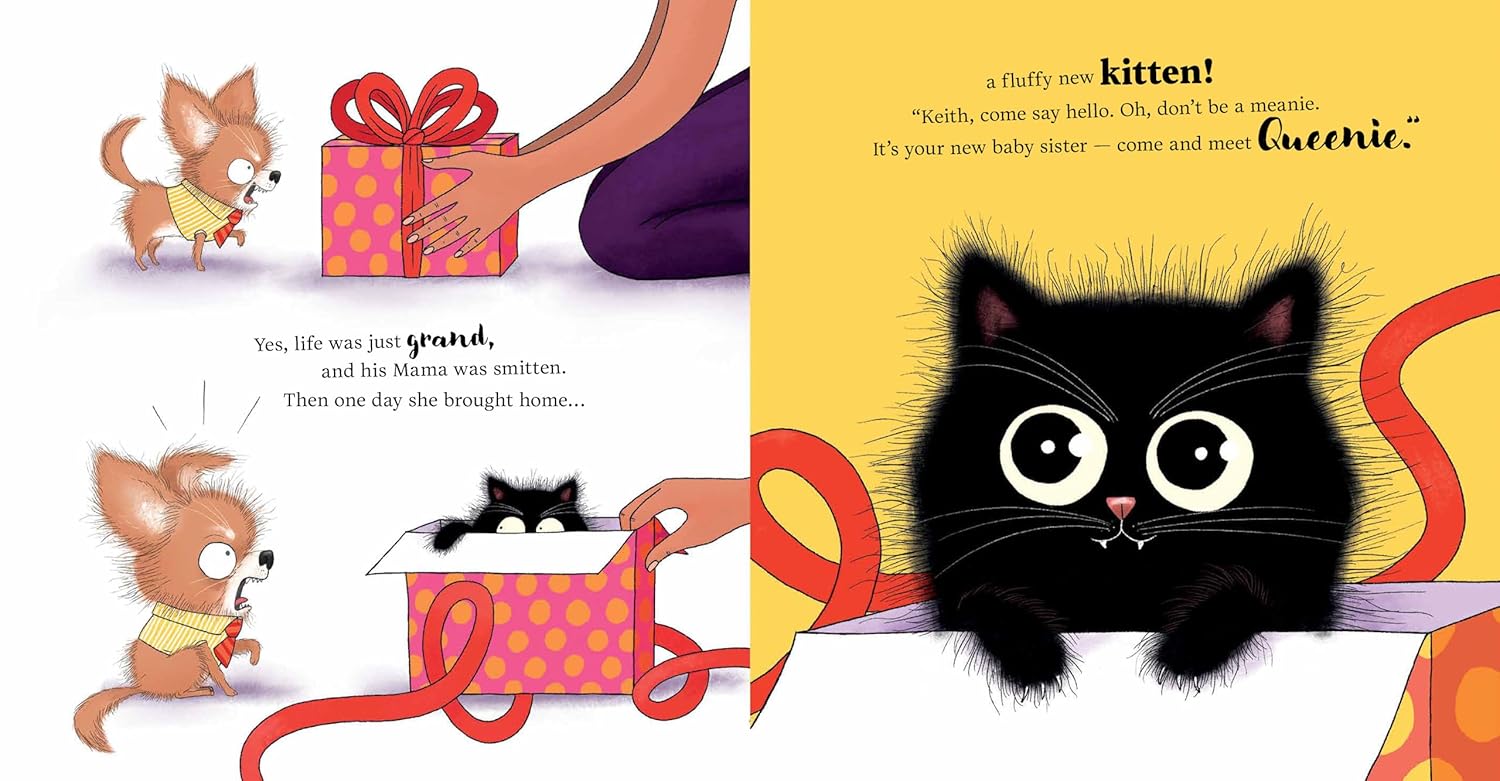Keith Vs Queenie Bk 1: Keith and the Kitten