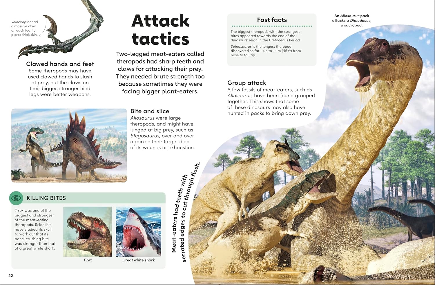 Eyewonder Dinosaurs