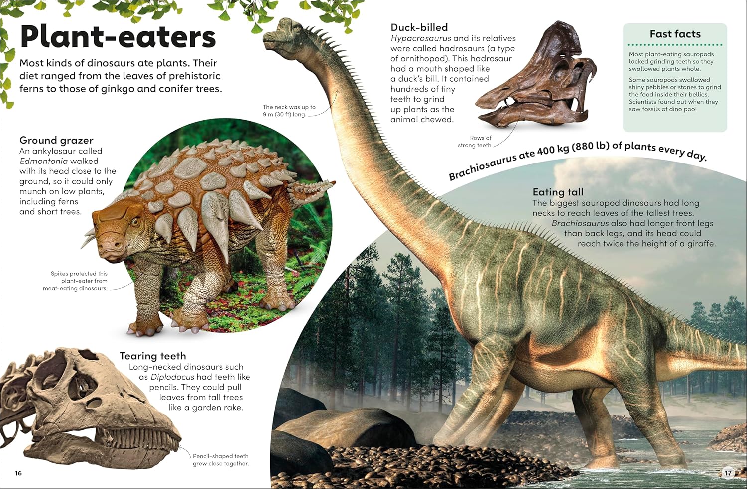 Eyewonder Dinosaurs