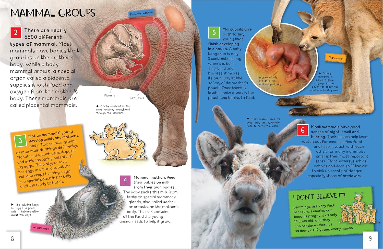 Animals: Awesome Facts