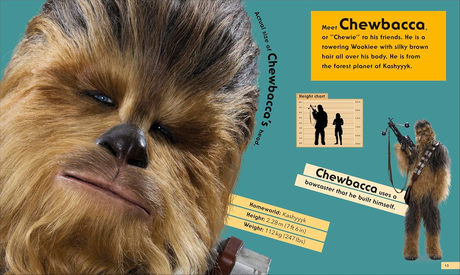 Star Wars Life Size