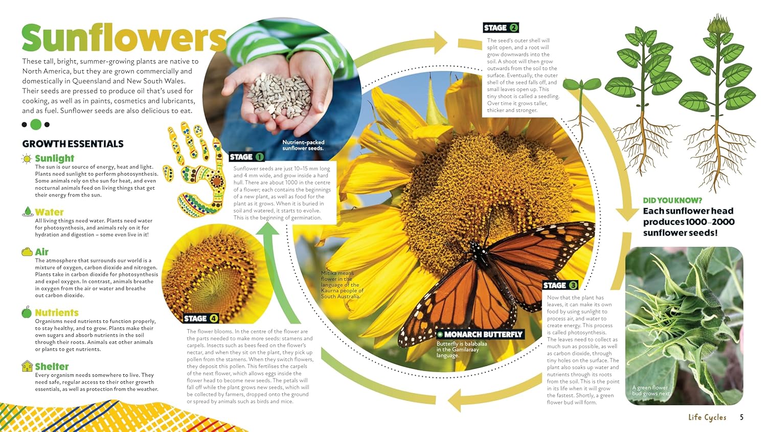 Deadly Science: Life Cycles