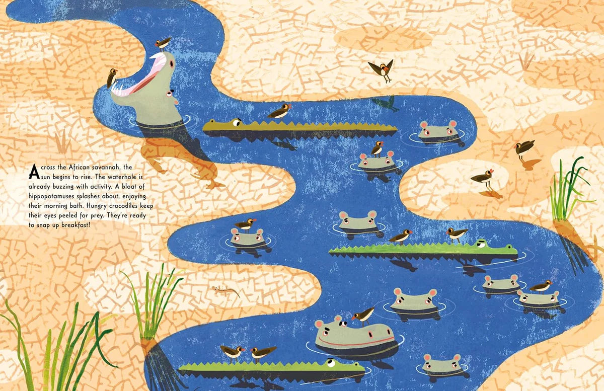 Picture Books (Hardcover) Variety Pack (20 titles)