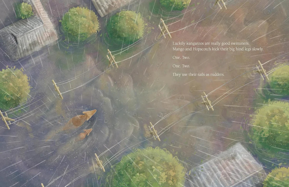 Picture Books (Hardcover) Variety Pack (20 titles)