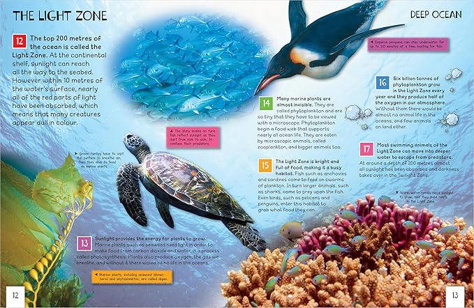 Oceans: Awesome Facts