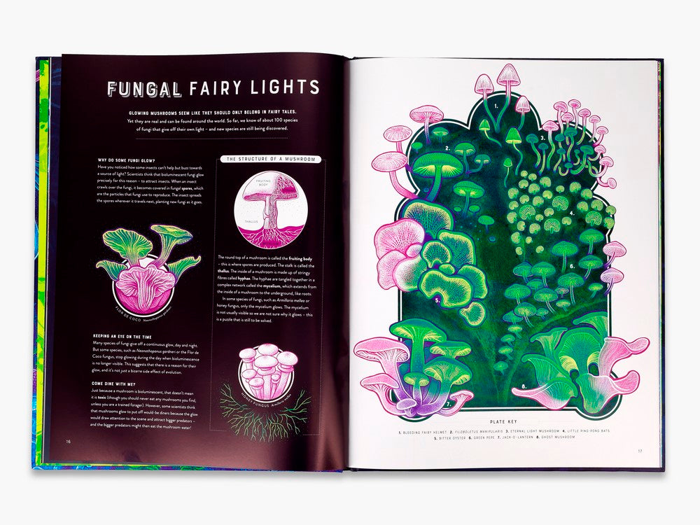 Glow: The wild wonders of bioluminescence