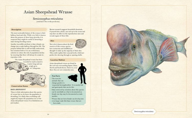 The Illustrated Encyclopaedia of Ugly Animals