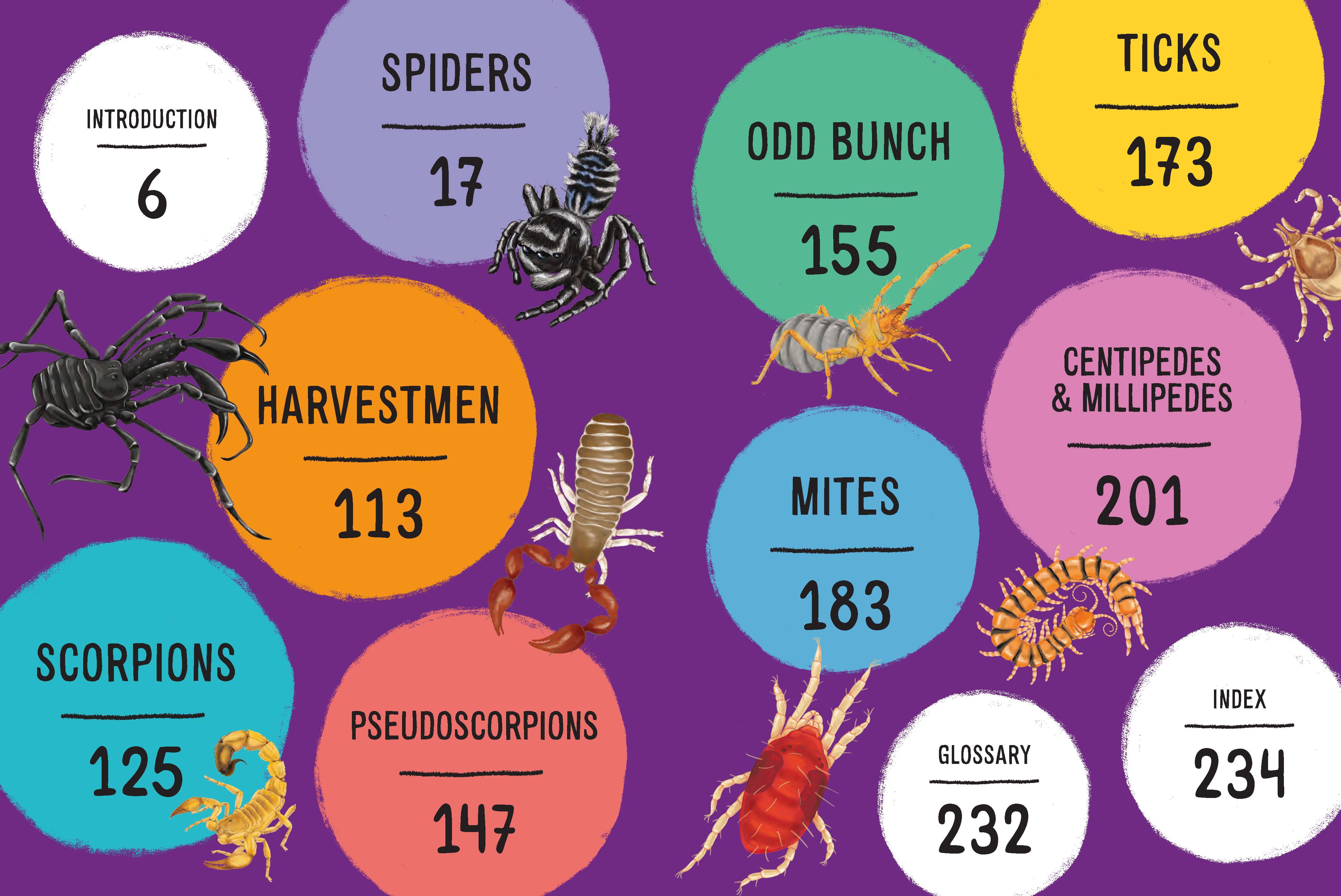 Explore Your World: Creepiest Crawly Critters