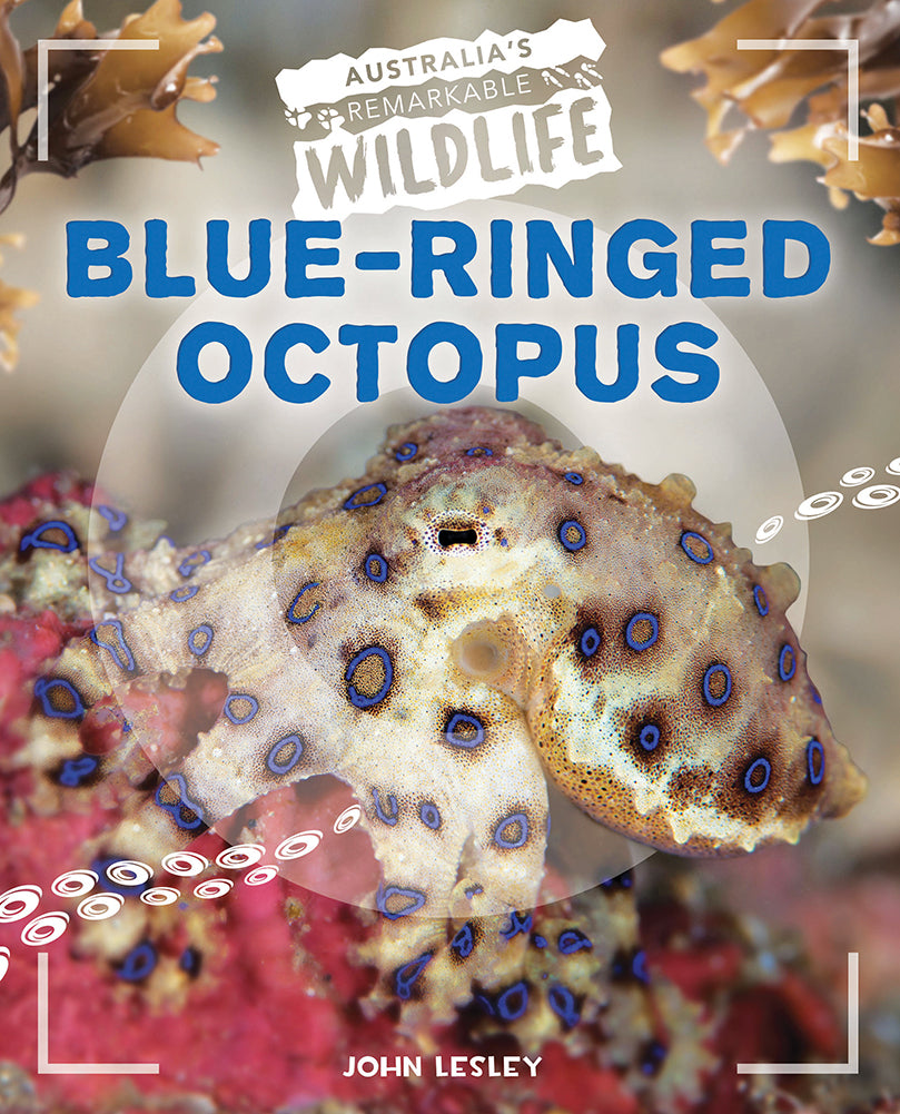 Australia's Remarkable Wildlife: Blue-Ringed Octopus (Softcover)