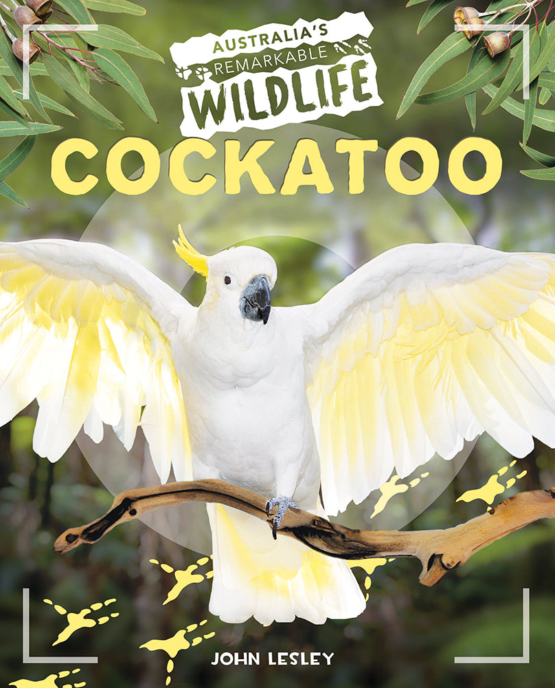 Australia's Remarkable Wildlife: Cockatoo (Softcover)