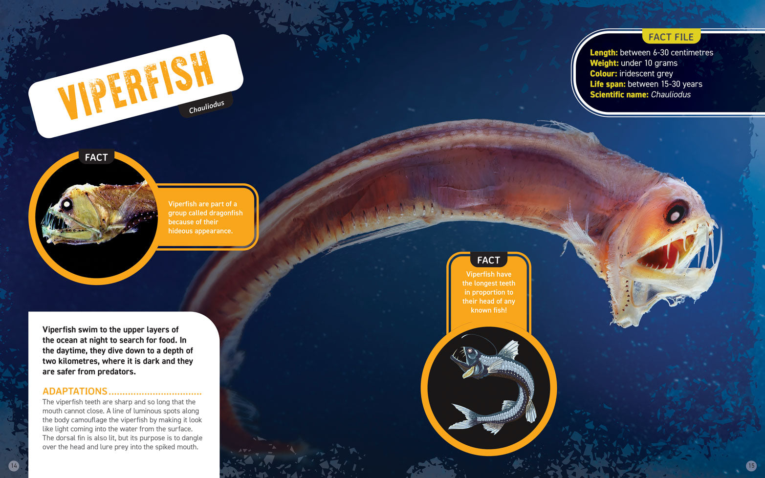 World's Scariest Creatures: Creepy Sea Life