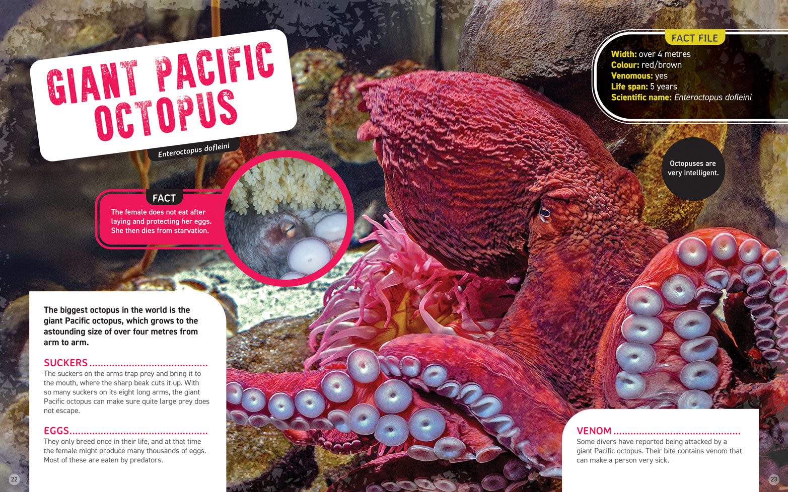 World's Scariest Creatures: Creepy Sea Life