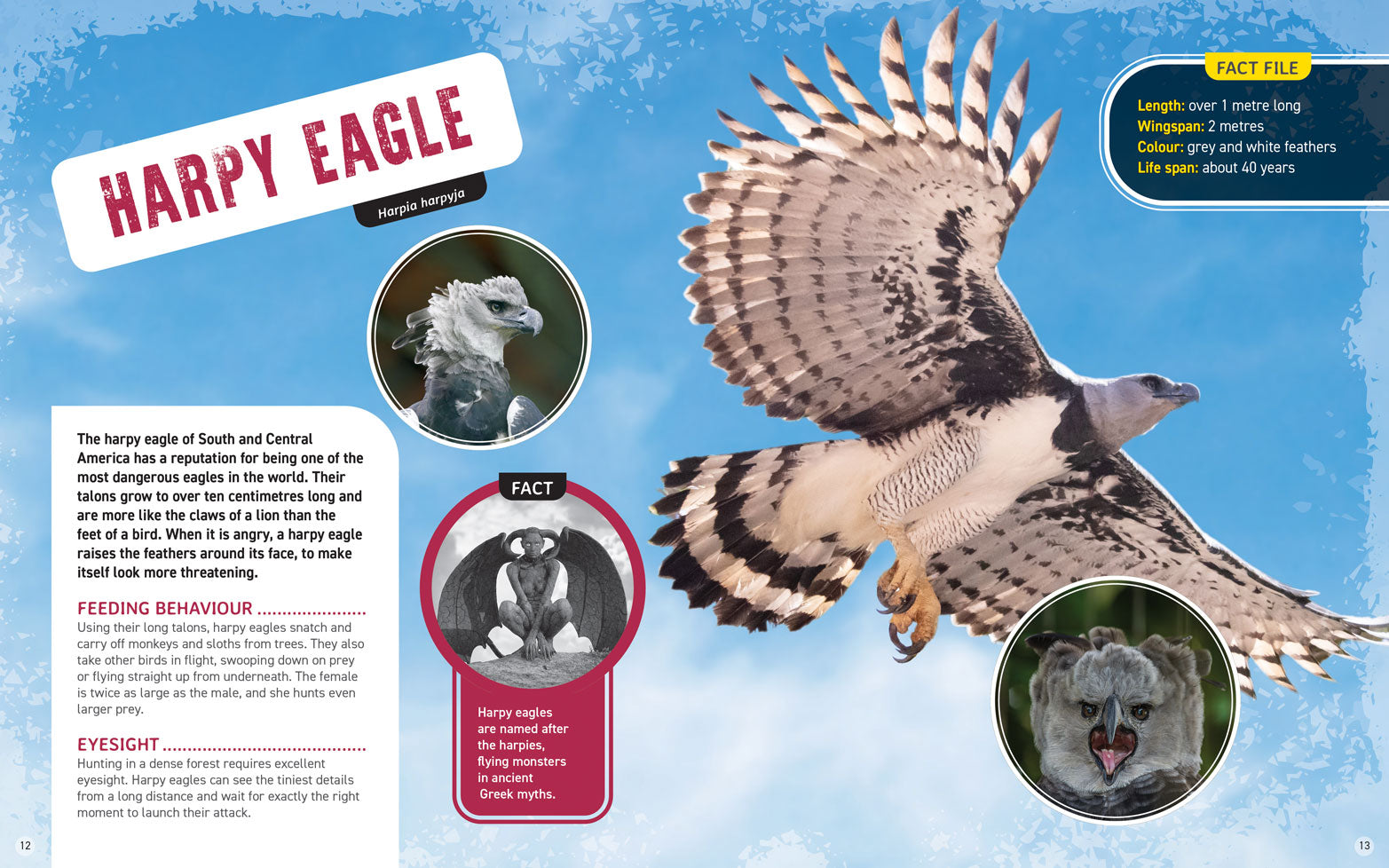 World's Scariest Creatures: Terror From the Sky