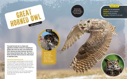 Non-fiction Books (Hardcover) Variety Pack (20 titles)