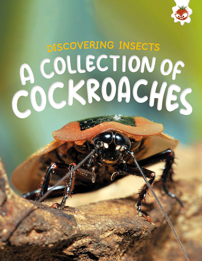 Discovering Insects: A Collection of Cockroaches